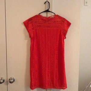 Vibrant Orange Mini Lace Dress